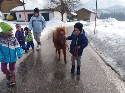 Bild 32 aus  Biohof Untergrabenbauer