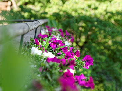 Bild 14 aus  Ferienwohnungen Birkleiten