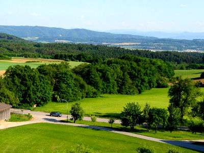 Bild 6 aus Blumentalhof