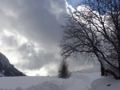 Bild 231 aus  Stanglhof