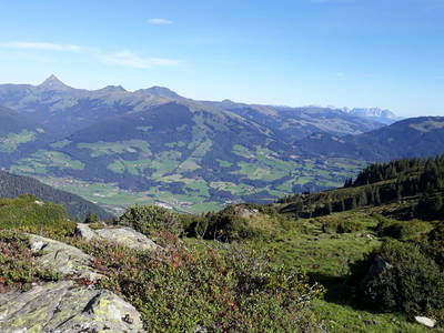 Bild 58 aus  Erlachhof