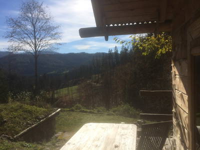 Bild 45 aus  Holzknechthütte