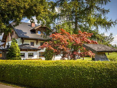 Bild 20 aus  Klinglerbauer