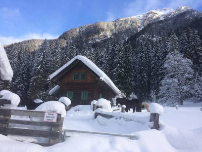 Bild 41 aus  Waldhäuslhütte