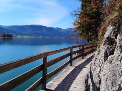 Bild 185 aus  Klinglerbauer