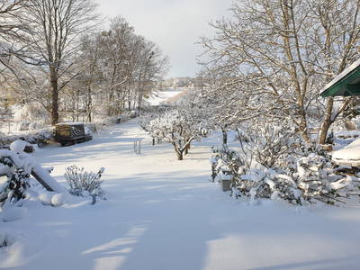 Bild 56 aus  BioWeingut Hauerhof 99