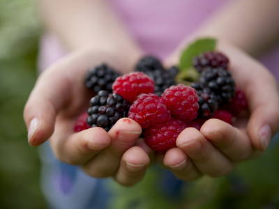Bild 22 aus  Testhof UaB NÖ