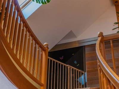 Bild 116 aus  Vitalhof Roithinger