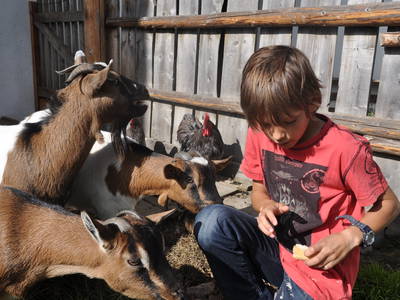 Bild 14 aus  Mitterbrugge