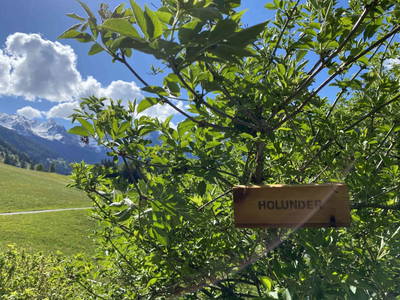 Bild 22 aus Alpenfarm Poschhof
