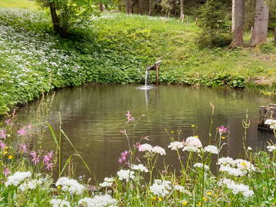 Bild 3 aus  Möschbauer