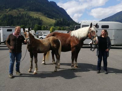 Bild 155 aus  Hoferbichlgut