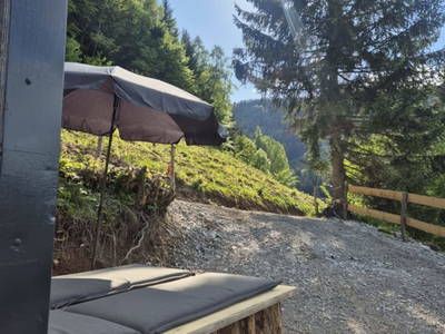Bild 13 aus  Sommerkino - Schäferhütte