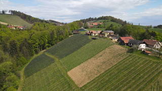 Weingut Koller aus Kitzeck im Sausal