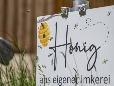 Bild 98 aus  Niederarnigerhof