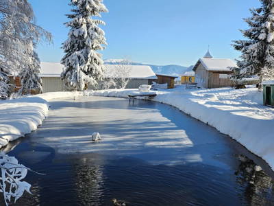 Bild 45 aus  Waldbienenhütte am Erlebnisbiobauernhof