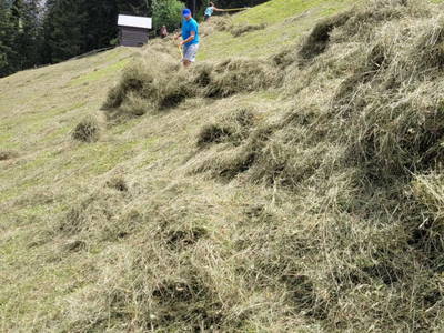 Bild 83 aus  Bergfeuerhof