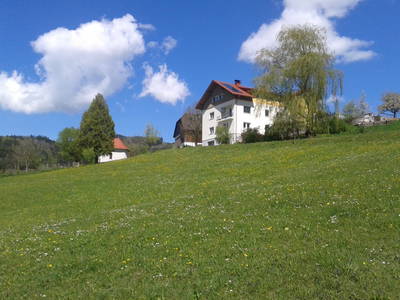 Bild 2 aus  Holzbauer