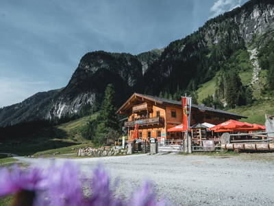 Bild 126 aus  Enzianhütte im Habachtal
