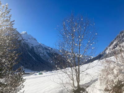 Bild 160 aus  Alfaierhof & Bergheimat