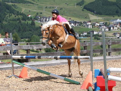 Bild 27 aus  Gut Darrehof