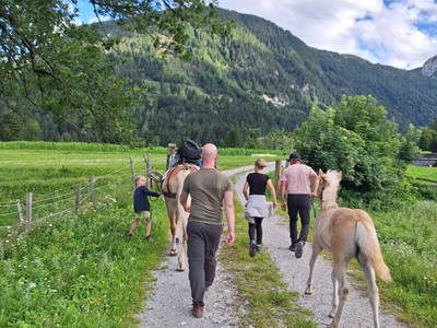 Bild 23 aus  Pferdehof Toml