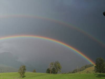 Bild 137 aus  Hoferbichlgut