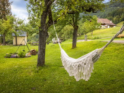 Bild 5 aus  Schobergut