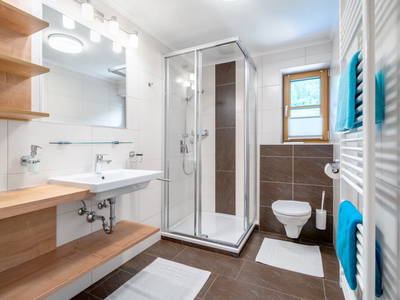 Bild 158 aus  Bio Bauernhof Tobhartbauer