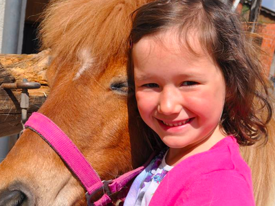 Bild 3 aus  Rhöner Haflingerhof