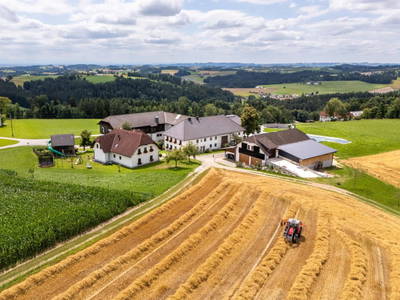 Bild 2 aus  Grainmeisterhof