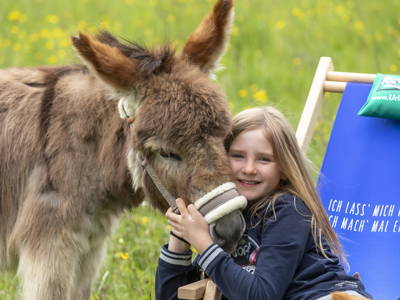 Bild 142 aus  Forstbauer