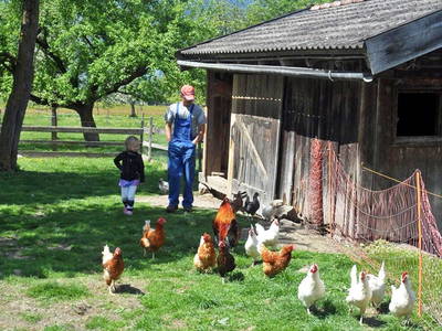 Bild 36 aus  Oberlettlhof