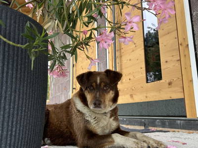 Bild 12 aus  Wiererhof