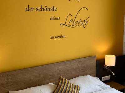 Bild 44 aus  Weingut Lichtscheidl