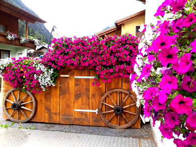 Bild 12 aus Appartementhaus Karlspitze Natur Pur
