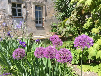 Bild 21 aus  LandSelection Die Schenkenau