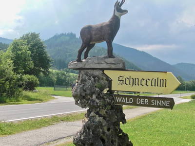 Bild 262 aus  Michlbauer