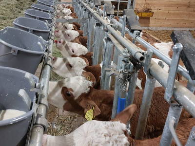 Bild 148 aus  Erbhof Hinting + Appartementhaus Hinting