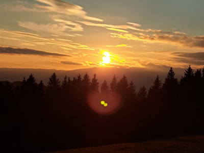 Bild 11 aus  Langhanshütte