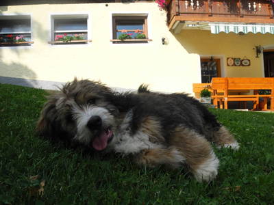 Bild 70 aus  Entschleunigungshof Huberbauer