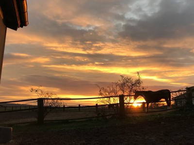 Bild 6 aus  Reitschule Fuchsenhof FN