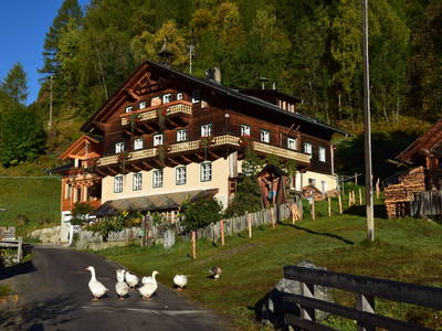 Bild 2 aus  Sturm-Archehof