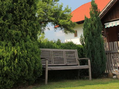 Bild 15 aus  Bammer im Herndlberg