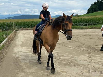 Bild 22 aus  Matlhof