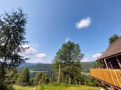 Bild 102 aus  Almhaus Maurer