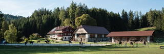 Steinerhof aus Neumarkt in Steiermark