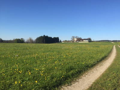 Bild 40 aus  Wastlbauer 