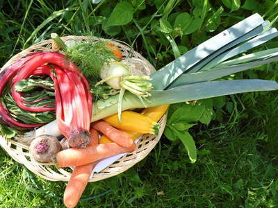 Bild 31 aus  Klosterhof Maria Hilf