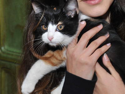 Bild 83 aus  Vitalhof Roithinger